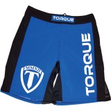 Torque Momentum